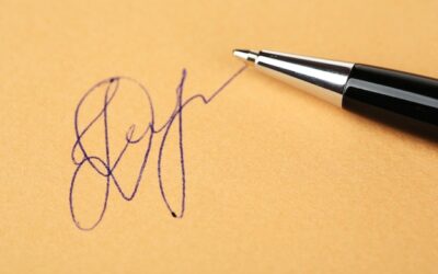 Hagi co to za firma i czym się zajmuje?