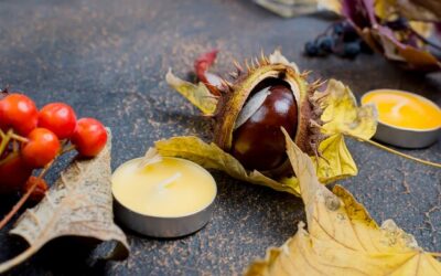 Maść z kasztanowca jaka najlepsza na obrzęki i bóle nóg?