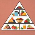 Piramida żywienia co to oznacza w codziennej diecie?