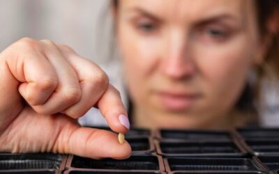 Tabletki sesja jak stosować aby poprawić koncentrację?