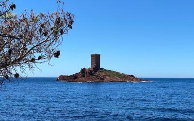 Arbonne ile można zarobić i od czego to zależy?