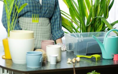 Jak konserwować domowe kosmetyki, by dłużej zachowały świeżość?