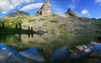 Po co pić białko i kiedy warto włączyć je do diety?